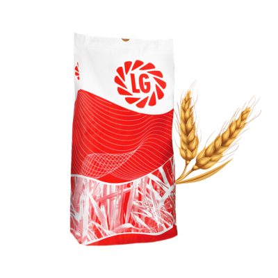 LG Absalon